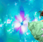 4.gif