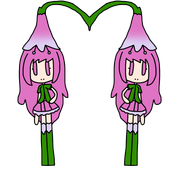Lady-twinflower