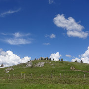 DSC04888
