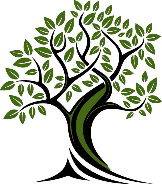 Stylized Green Olive Tree Abstract Vector Illustration.jpg