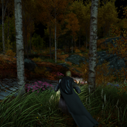 Outside Riften