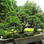 DSC00582