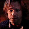 https://i.ibb.co/Jj5JXSwN/3.gif