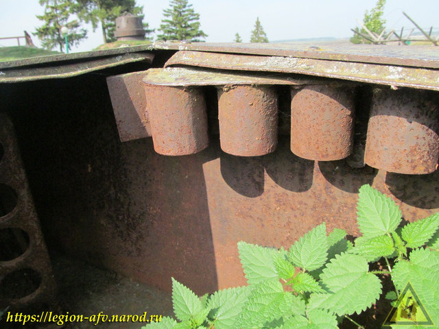 IMG-3546