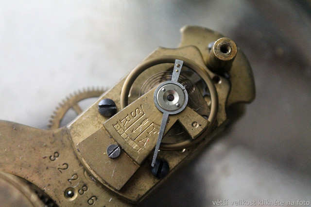 IMG-8467.jpg