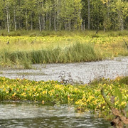 IMG 4858
