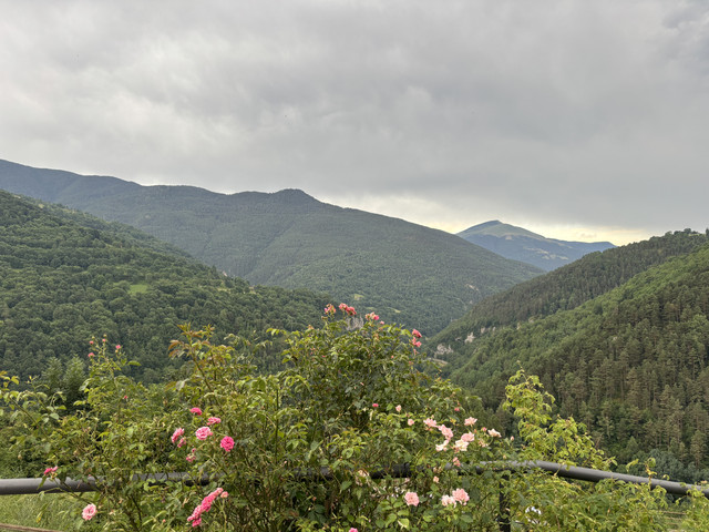 IMG-4260