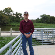 IMG 7331