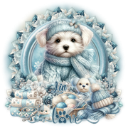 xcd sc 26 Lin christy