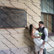 IMG 4491