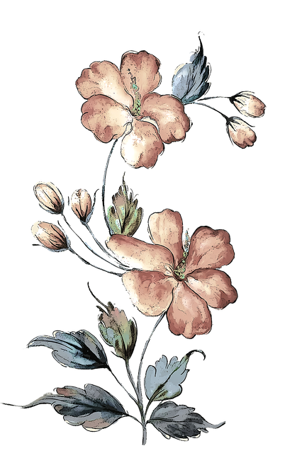 f39.png