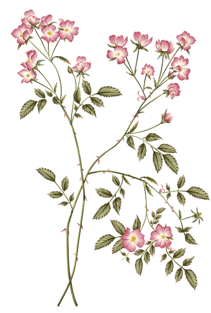 ff657d00b1f4d5d0e73eb42a8cb09023.png
