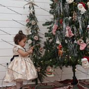IMG 4378