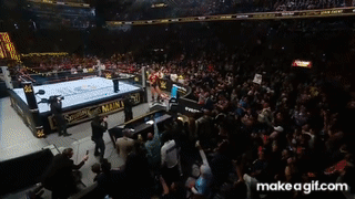 M47NNl.gif