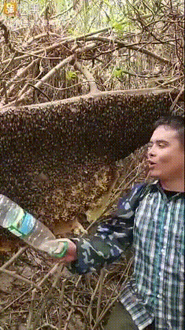 s9zcx5.gif