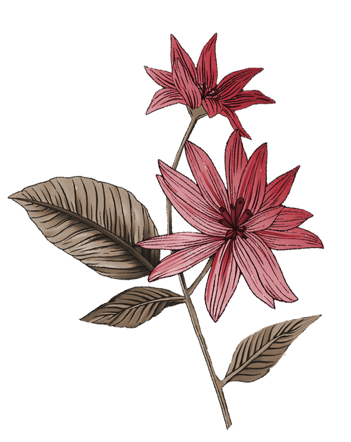 ccf66efe6fdedcb4c7cee572ed35da62.png