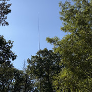 IMG 3471