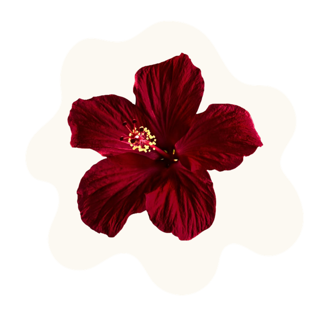 Delicate flower splash curation