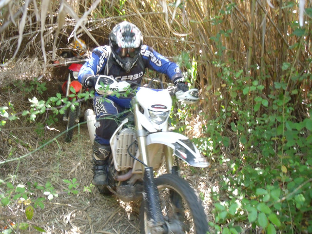 DSCF8561.jpg