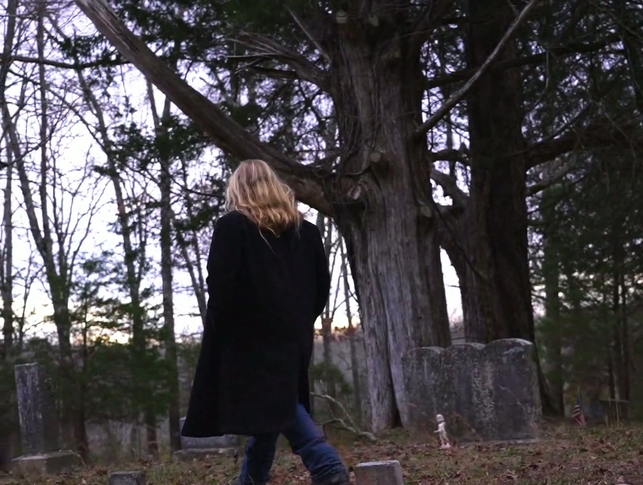 American Werewolves Screenshot