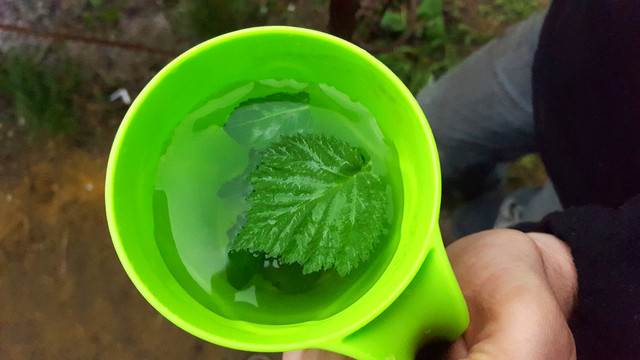 20190503-175842
