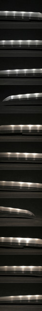 DSC8763.jpg