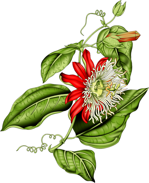 2733db8c91efd79e42d68f18792a9ca3.png