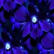 ab082f6f1c5a
