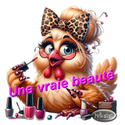 Sans titre 5