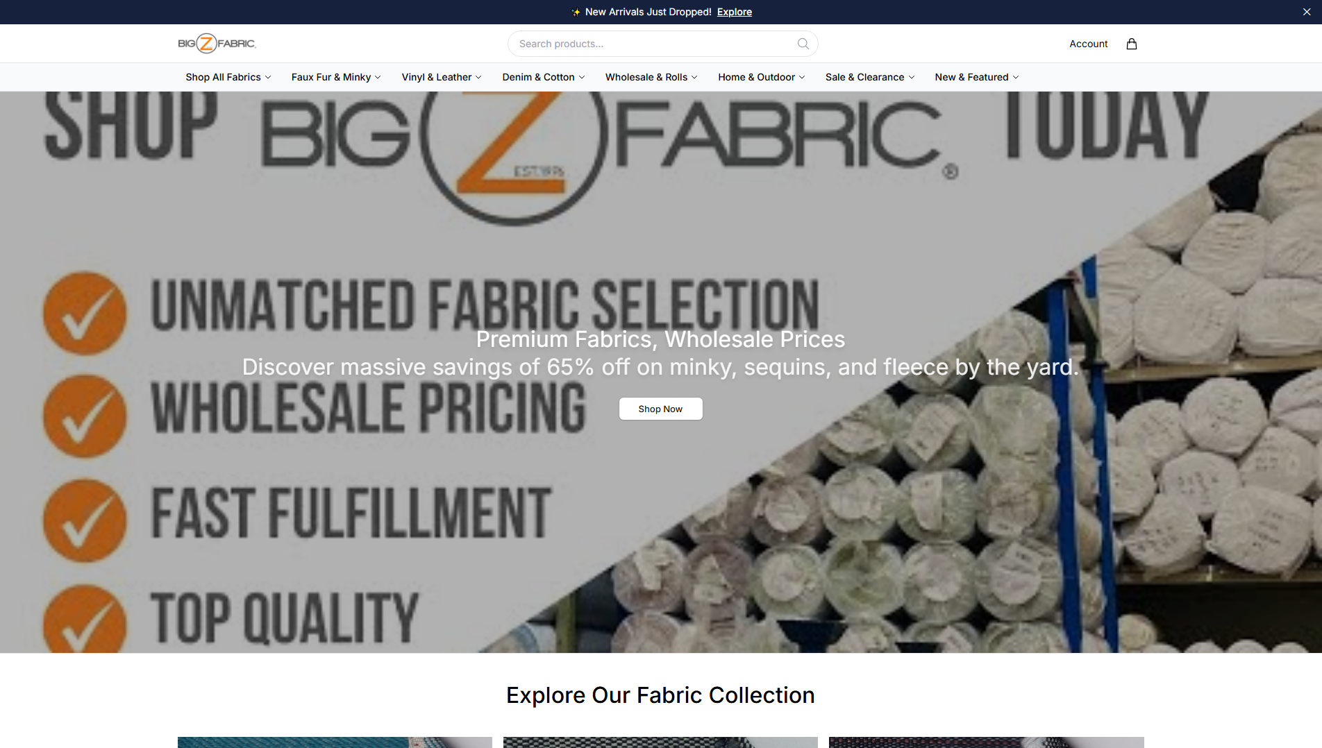 Primary capture · bigzfabricshop.shop