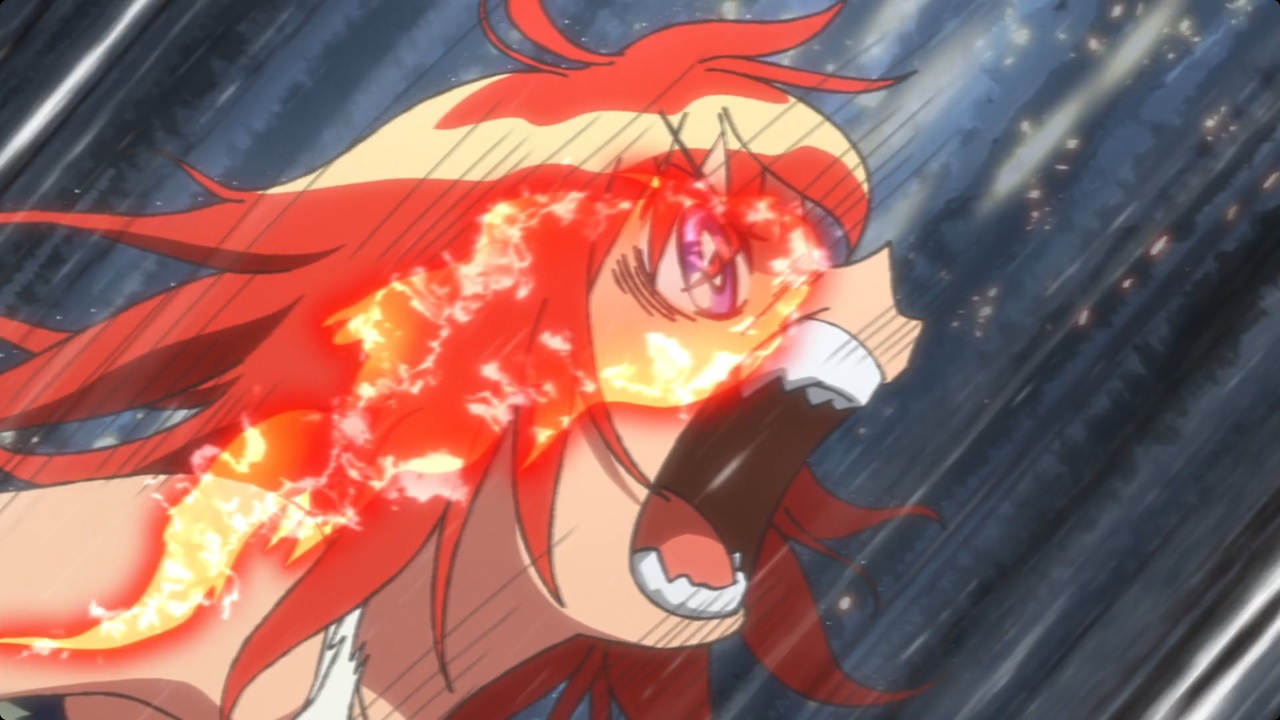 ga13.jpg