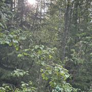 IMG 4806