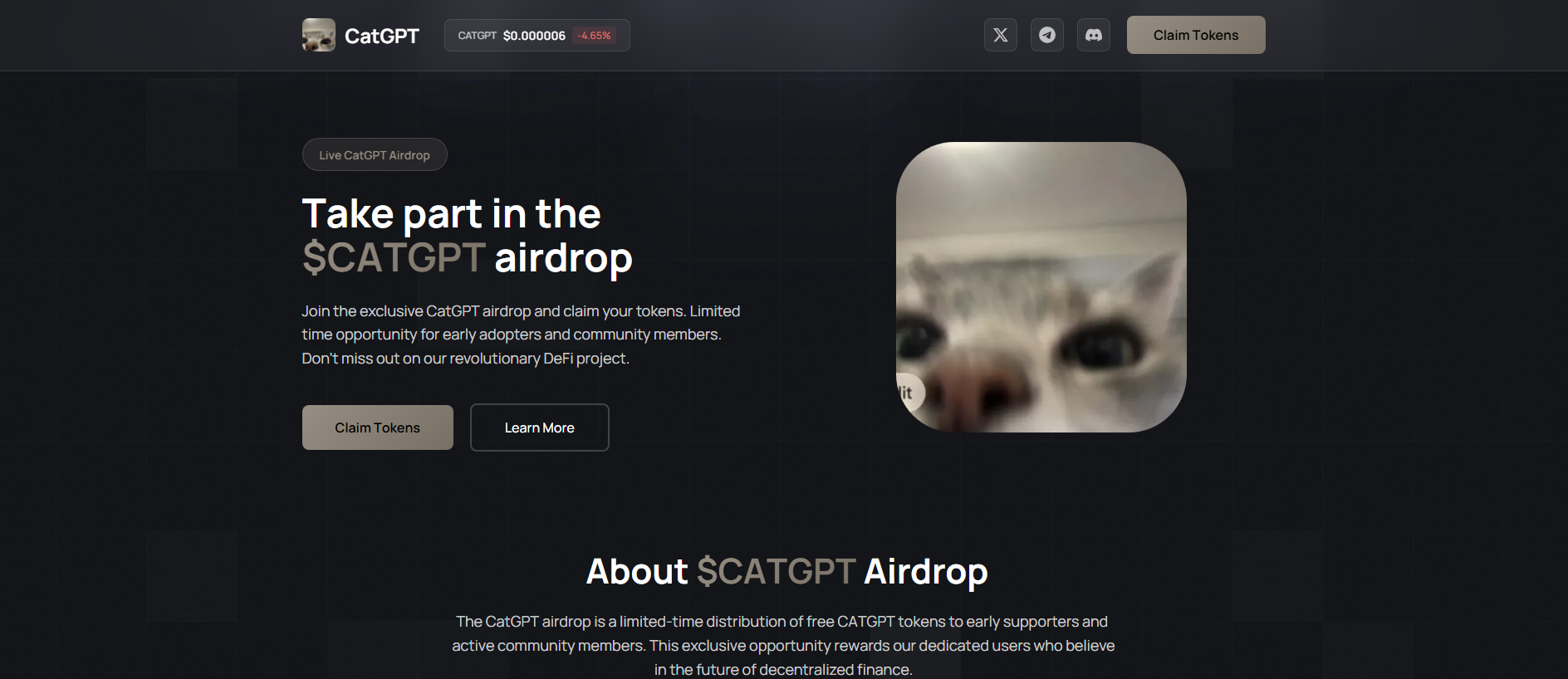 Stored capture of catgpt.sollab.cc