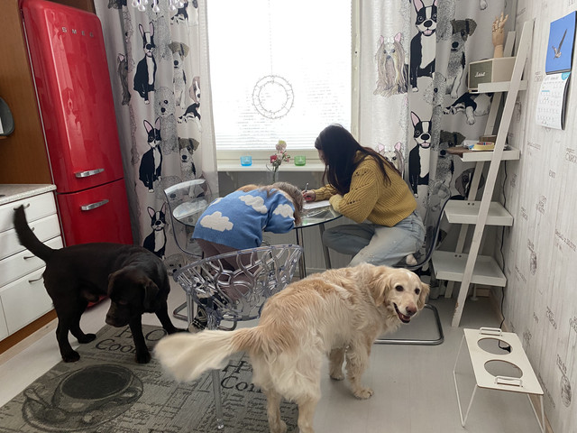 6-CB1-CA36-982-C-4-CE8-BBE5-31508-DFB006