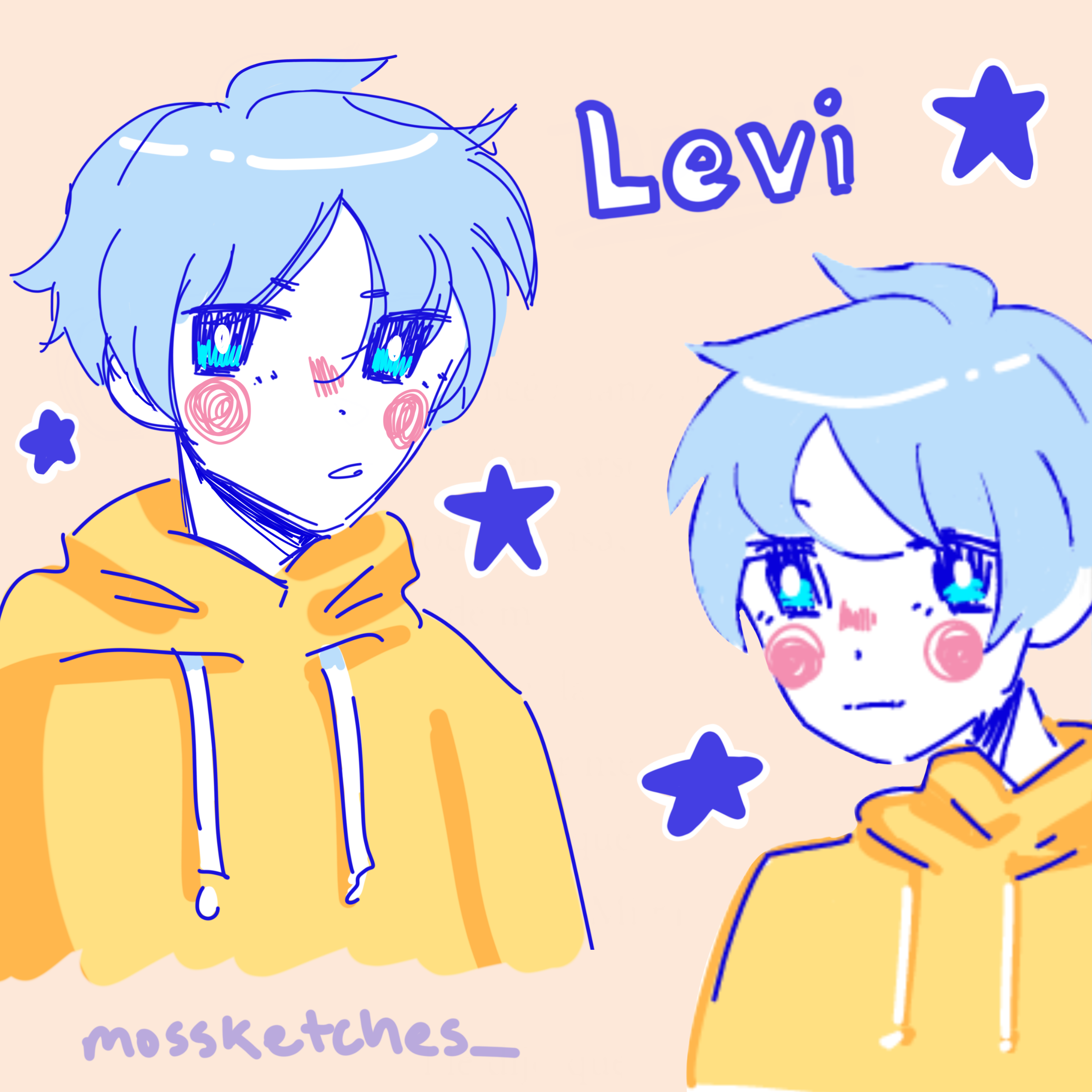 levi