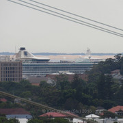 IMG-6905