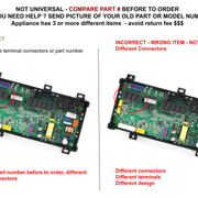 316472807 2 Correct Incorrect