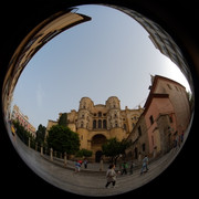 DSCF8947