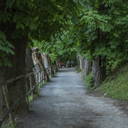 DSC1633
