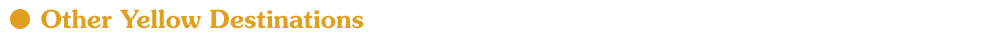 [Image: other-yellow.png]