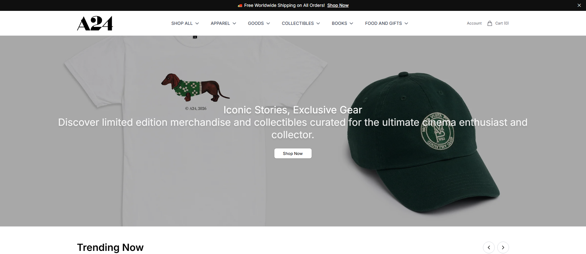 Stored capture of a24boutique.shop