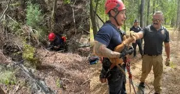 Missing Dog Rescued After Week-Long Ordeal in Sinkhole