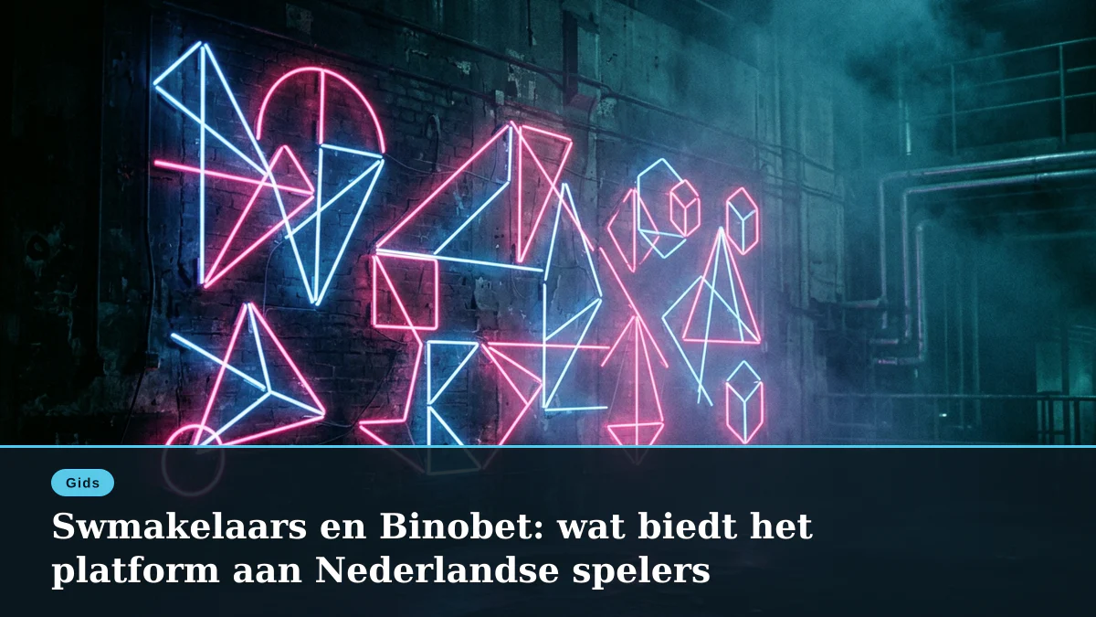 Swmakelaars en Binobet: wat biedt het platform aan Nederlandse spelers