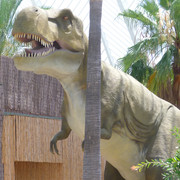 Tyrannosaurus rex