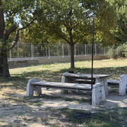 IMG 8142