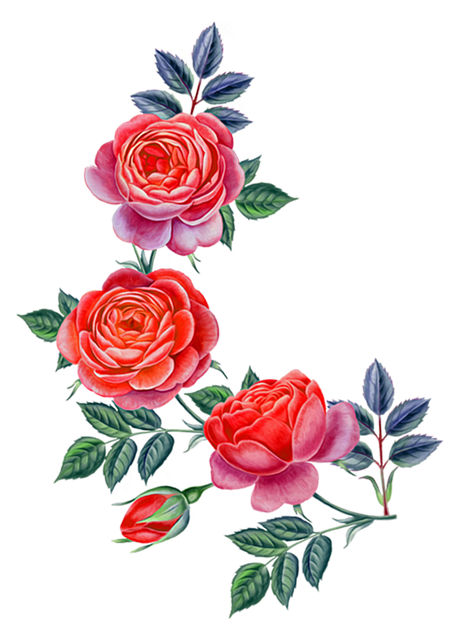 dfd28850f893ad777ae9e0983e0c0f6f.png