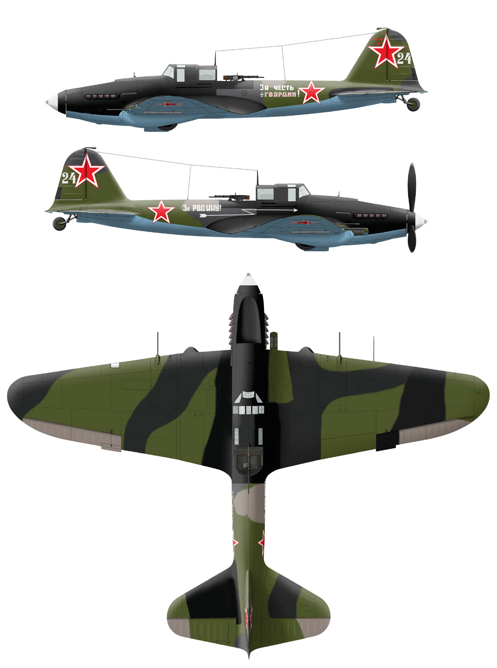 il2m-temprano-fl-am-3vista-z18-24blacknose.j