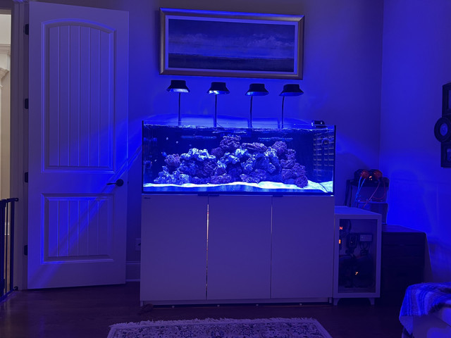 Tank4