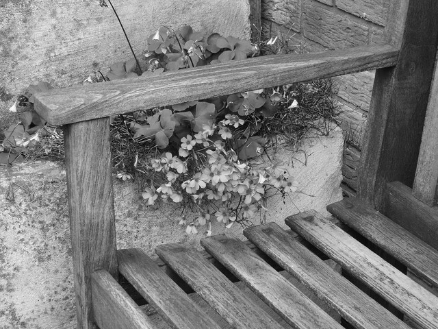 BW098-09