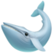 whale-1f40b